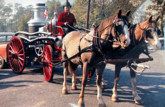 A man drives a horse carriage, showcasing the heritage of the town.