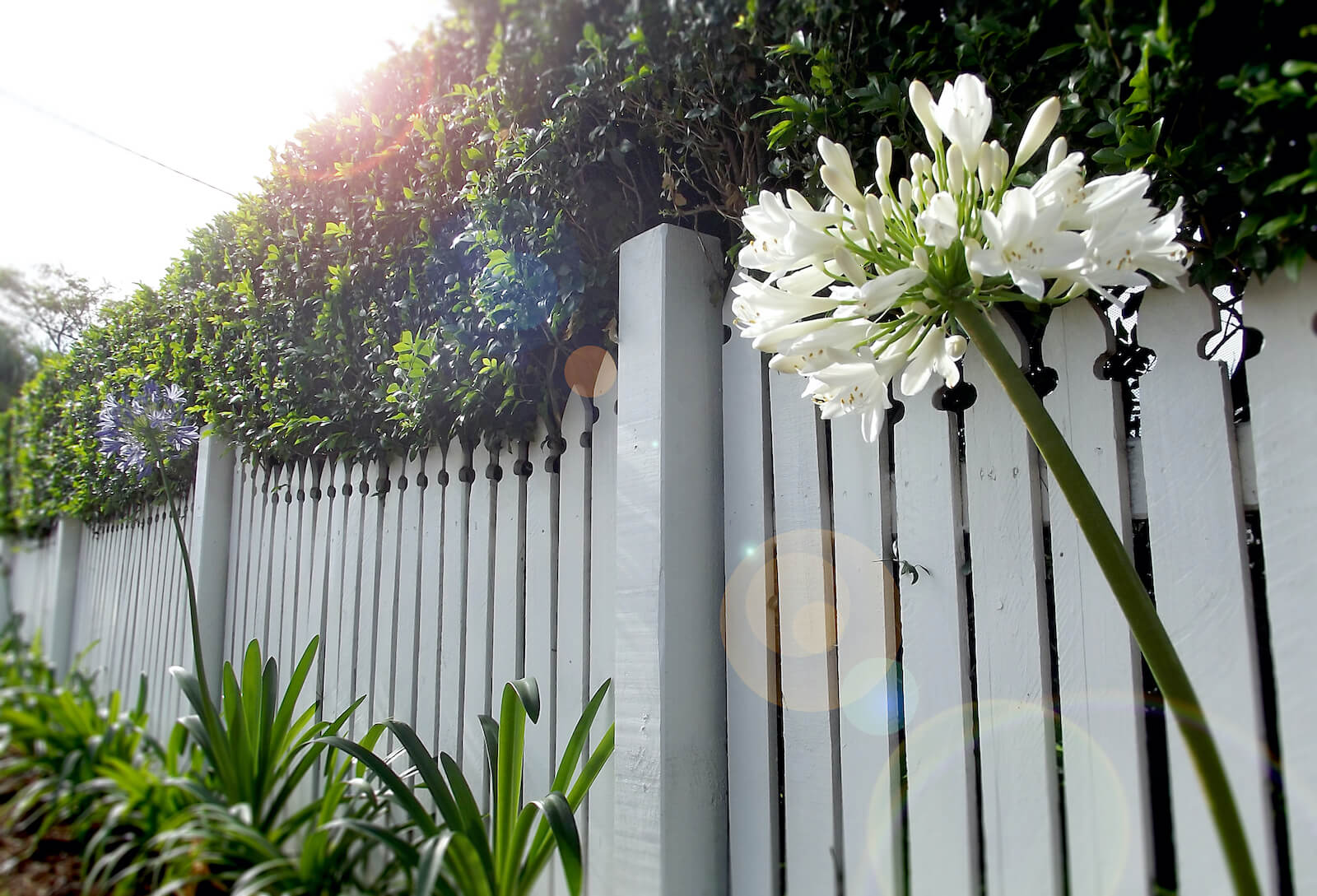 A white fence offers privacy and security.